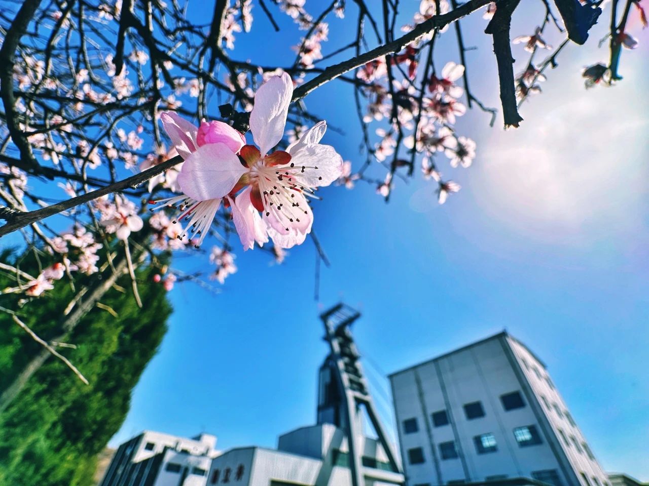 寺家莊煤業風景